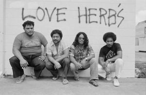 NZ film celebrates 40 years of Herbs