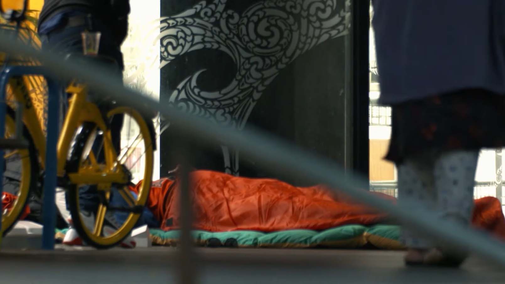 youth homelessness in New Zealand