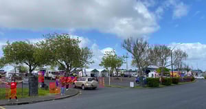 samoan vaccination event manurewa