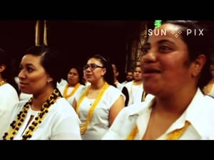 Niuean Youth Network