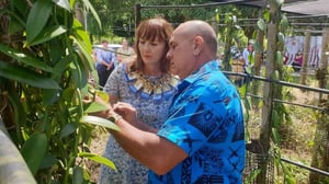 Tongan Vanilla gets a boost with new partnerships