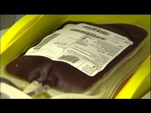 Next week on Tagata Pasifika TVNZ 23 June 2011 Pacific Blood Donors