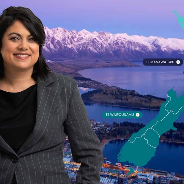 Te Whatu Ora health outline comprehensive Winter Plan for 2023