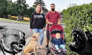 Victoria Hearn with husband Antonio Afamasaga and their son Matai, on a rare walk with their dog. (Photo: Supplied, additional design Archi Banal)