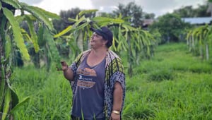 Samoan farmer Dora Mapusua. Photo: Supplied