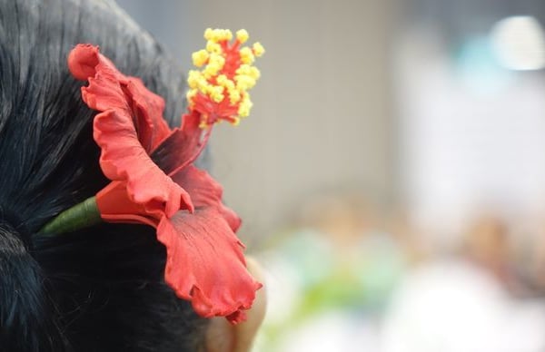 Free job hunting and career advice service for new Pacific migrants in south and west Auckland