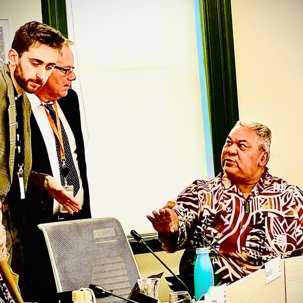 Wayne Brown’s move to reduce local boards seen as dismantling democracy