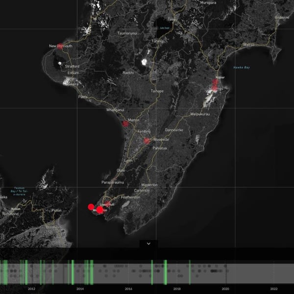 Wellington exhibition maps racialised over-policing and law changes in New Zealand