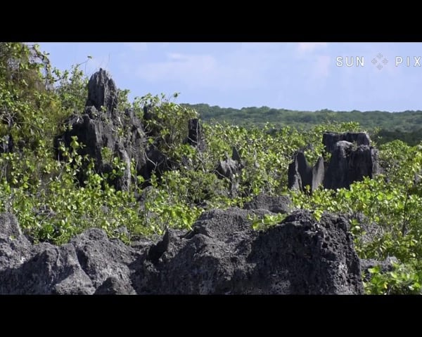 TAGATA PASIFIKA: Makatea Island Phosphate Mining