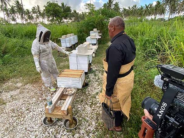 Honey bees helping food security in Tonga
