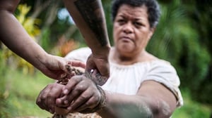 Seven Pasifika short films to screen in 17th Pollywood Pasifika Film in Auckland