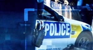 Police Ten 7 show ‘feeds racial stereotypes’ – Auckland councillor