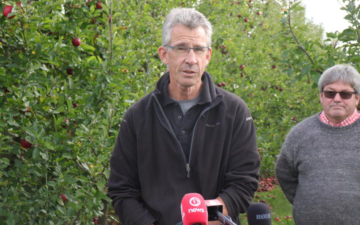 Bruce Mitchell says there just aren't enough workers to harvest his apples for export. Photo: RNZ / Tom Kitchin