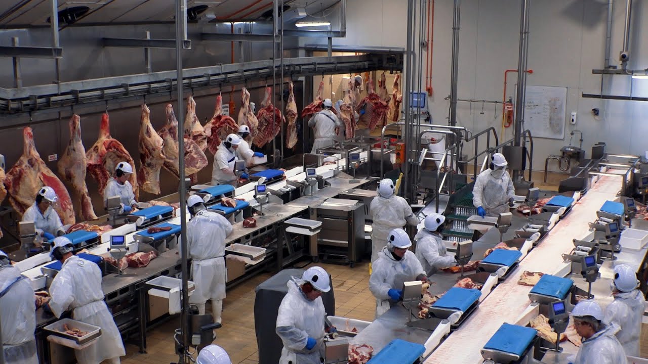 Freezing workers invercargill