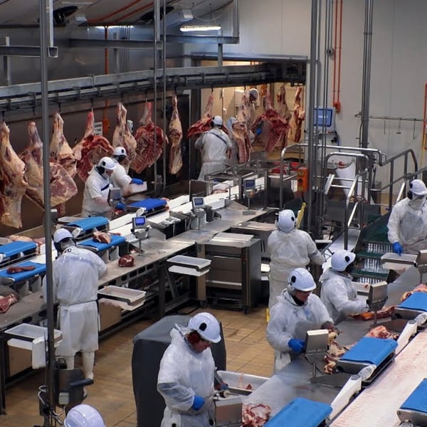 Homesick and keen: The story of Southland freezing workers