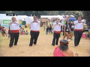 Pasifika Festival 2014 – Hawaiian Village