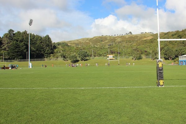 Porirua comes alive this Labour weekend for Wellington Samoa Rugby 50th anniversary