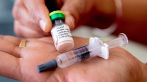 The MMR vaccine which is used to immunise children against measles, mumps and rubella. Photo: TOM LEE/STUFF