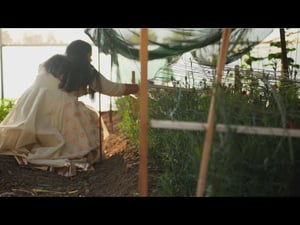 Shri Ram Mandir farm on Namaste New Zealand