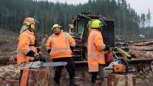 Tokelauan logger hopes to lure more Pasifika into forestry