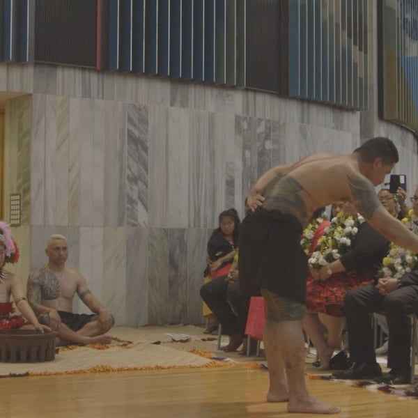 TP+ First ever ‘Ava ceremony held at NZ Parliament for new Pacific MPs