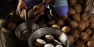 Samoan families earn money exporting coconut oil and fine mats