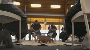 Prison rehabilitation programme transforming the lives of Pasifika inmates