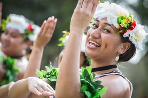 Pasifika Festival cancelled for 2022