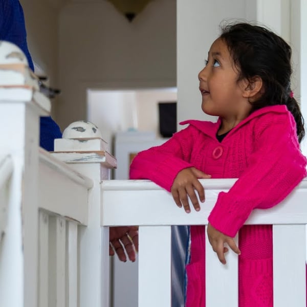 Changes to the Residential Tenancy Act: Key info in Samoan and Tongan