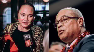 Government launches plan to get more Pacific people into work