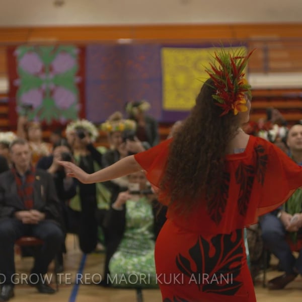 Cook Islands language teachers launch plan to boost te reo Māori Kūki ‘Āirani