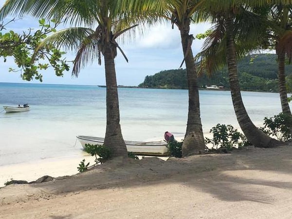 Covid-19 in Fiji: Over 700 infections, 8 deaths amid suspected first case on remote island