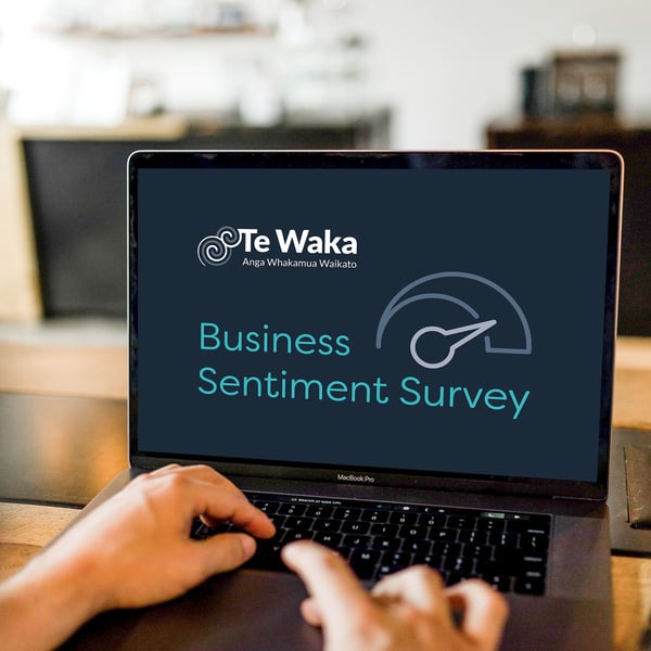 Waikato Business survey show Pasifika businesses hold expectations of growth over 12 month period