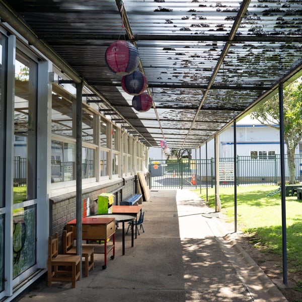 Ministry of Education starts urgent cleanup at Panmure school