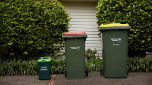 Councillor ‘hopeful’ reduced bin collection won’t lead to illegal dumping