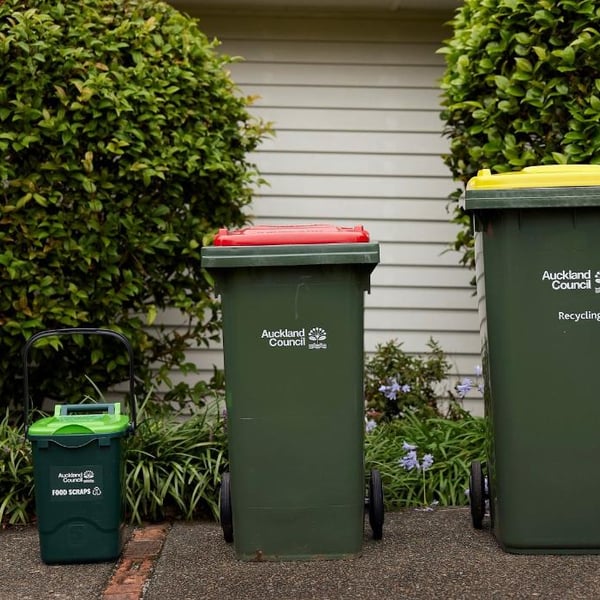 Councillor ‘hopeful’ reduced bin collection won’t lead to illegal dumping