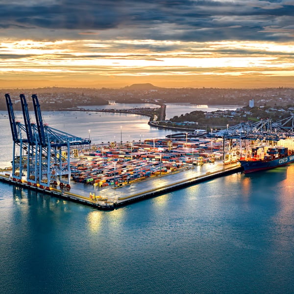 Ports of Auckland: New Pasifika Role integrated to support Pasifika