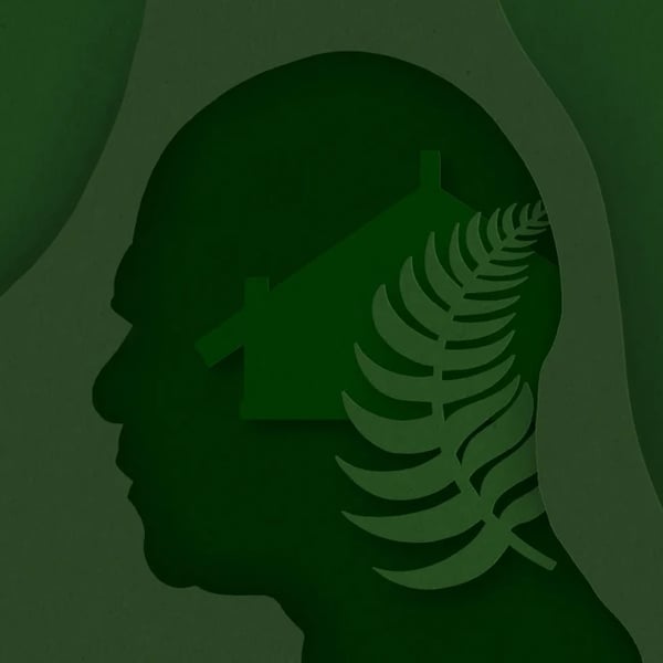 Abuse in Care Royal Commission deliver final report called Whanaketia