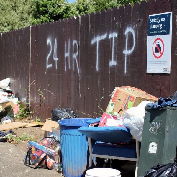 Most dumped areas in Auckland revealed