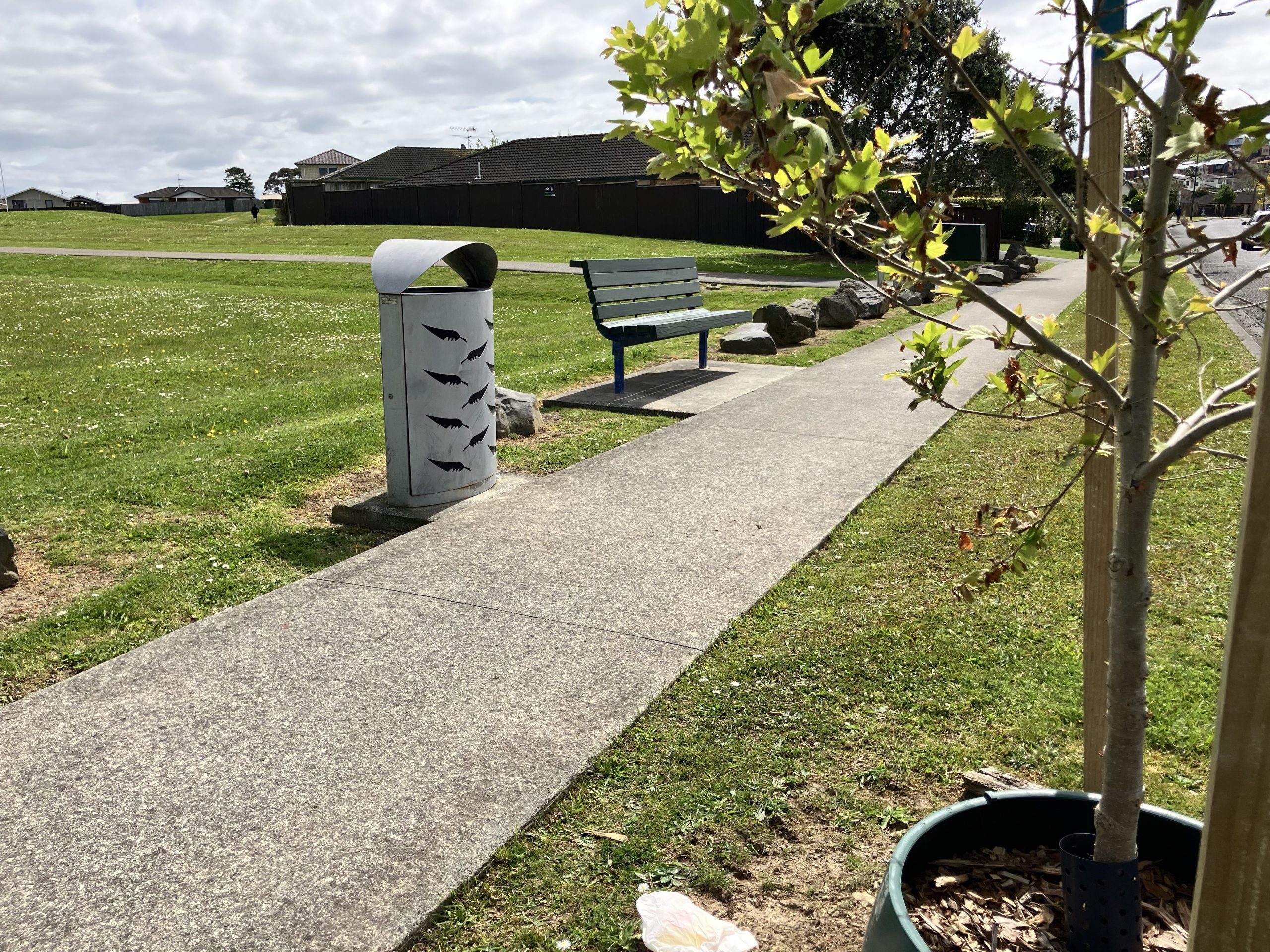 Auckland park to lose benches after divisive debate