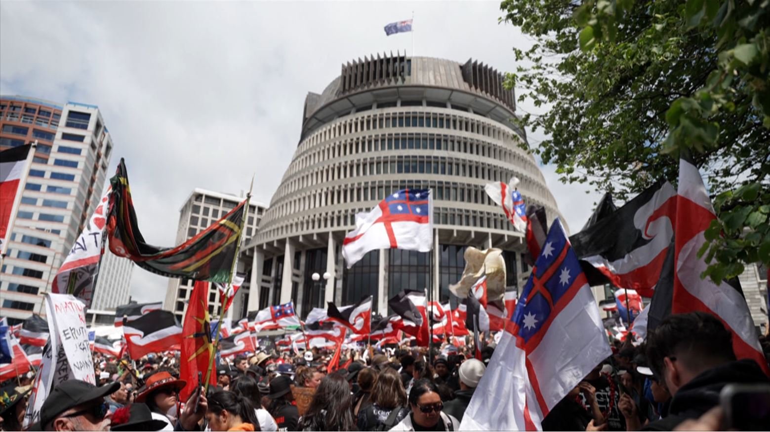 Pacific people join Hikoi against controversial Act Party Bill