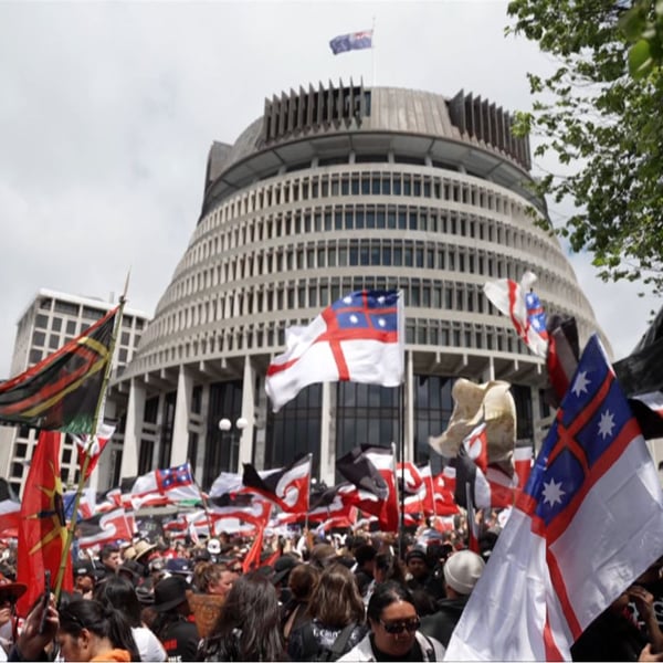 Pacific people join Hikoi against controversial Act Party Bill