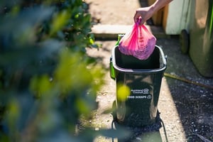 Auckland food scrap bins: Low uptake on some streets