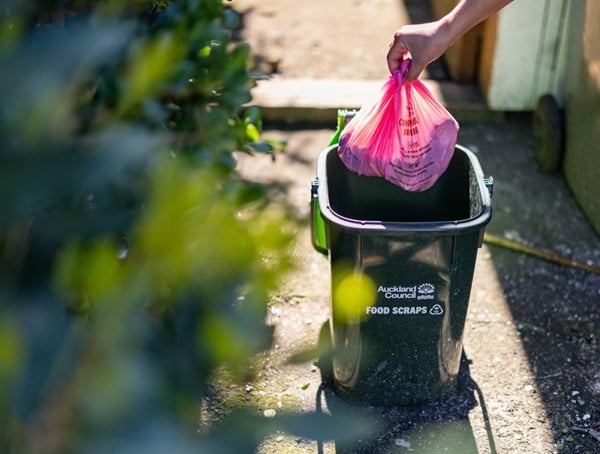 Auckland food scrap bins: Low uptake on some streets