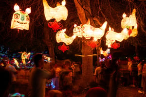 Lantern Festival returns to South Auckland