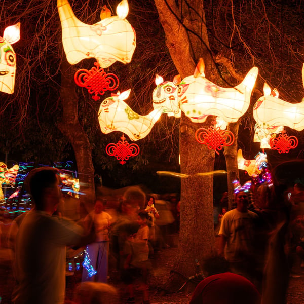 Lantern Festival returns to South Auckland