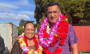 Council hopefuls say South Auckland needs more resources