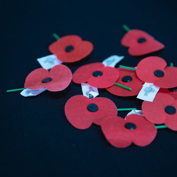 Aucklanders urged to gather this Anzac Day
