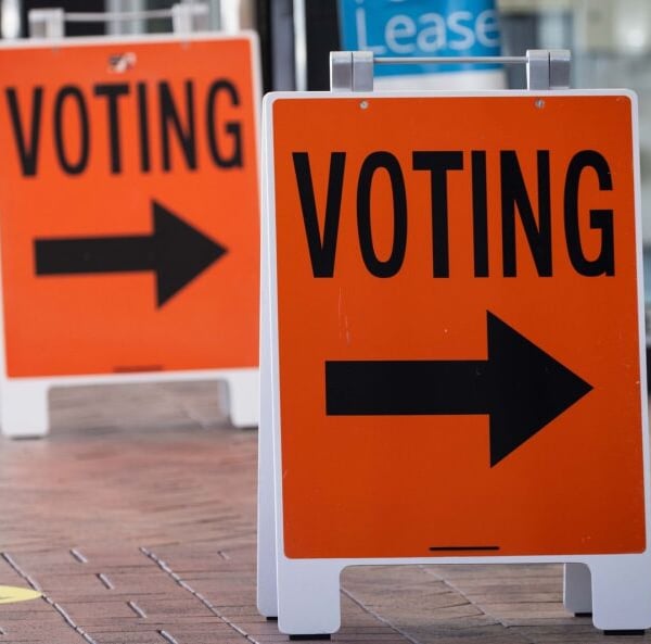 Last minute nominations for Auckland elections roll in