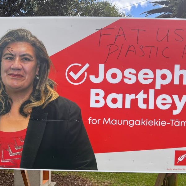 ‘Fat, useless, plastic poly’: Women candidates speak out on hoarding vandalism
